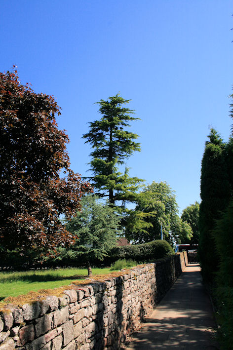 Der Weg zum Dryburgh Abbey